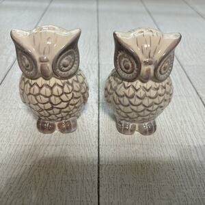 Vintage Ceramic Owl Salt Pepper Shakers Set